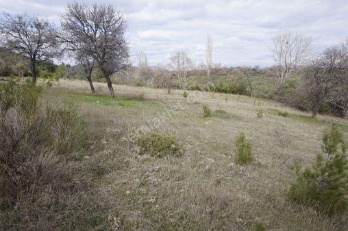 Çanakkale Bayramiç Çatalçam Köyü 2627 M2 Tarla