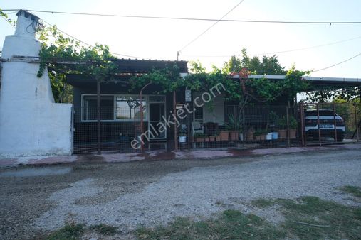 Portakal Bahçeleri İçinde Keyifli Bir Yaşam