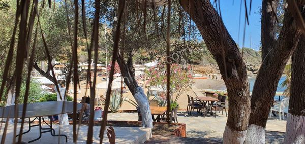 Bodrum Ormancılar Sitesi 4+1 Denize Sıfır Full Deniz Manzaralı