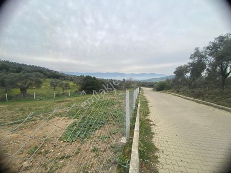 Bayındır Pınarlı Mah İmarlı Satılık Arsa