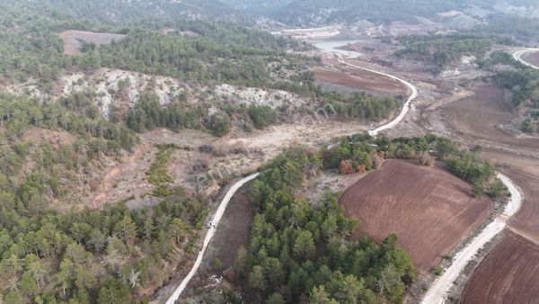 Efendi'den Taraklı Çamtepe'de Yatırımlık Yol Kenarı Tarla