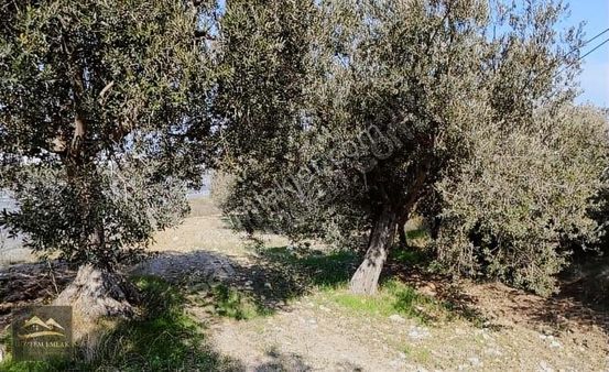 Şakran Merkez Çanakkale Asfalt Cepheli Deniz Manzaralı Müstakil
