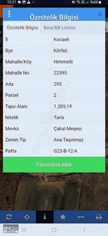 Ormana Dayalı Yuksek Manzarali Yer