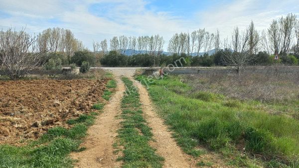 Toplu Ulaşıma 30m Bayramiç Merkeze 2km Mesafede Satılık Tarla