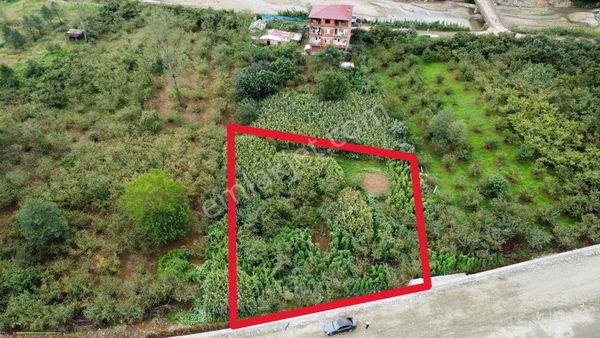 Trabzon Arsin'de Satılık Arsa