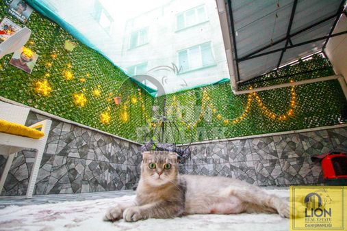 Erdek Yalı Mahallesi'nde Satılık Sahilde 2+1 Tasarım Daire