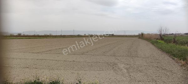 Denizli Sarayköy Merkezde 14.500 M2 Sulak Arazimiz Satılıktır