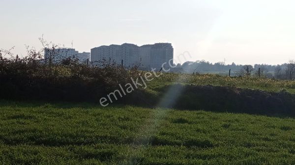 Bafra Toki Bölgesinde İmar Sınırında Yatırımlık Tarla