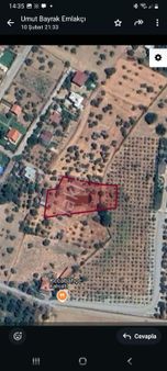 Aydın Erbeyli'de Satılık İncir Bahçesi