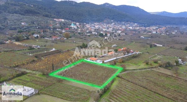 Kuşadası Merkeze 10 Km Mesafede Kirazlı Köy İçi Tek Tapu Bahçe