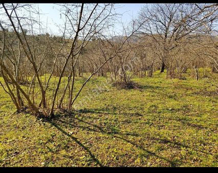Mahallesi'nde Satılık Bahçe