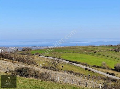 19 Mayıs Dağköy'de Muhteşem Deniz Manzaralı Satılık Tarla