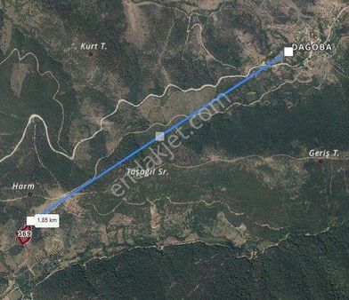 Bayramiç Dağoba'da Satılık 4800 M.kare Tarla