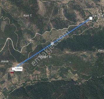 Bayramiç Dağoba'da Satılık 2400 M.kare Tarla