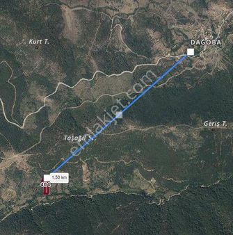 Bayramiç Dağoba'da Satılık 3900 M.kare Tarla