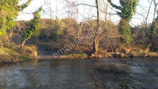 Bayramiç Evciler'de Satılık 16400 M.kare Tarla