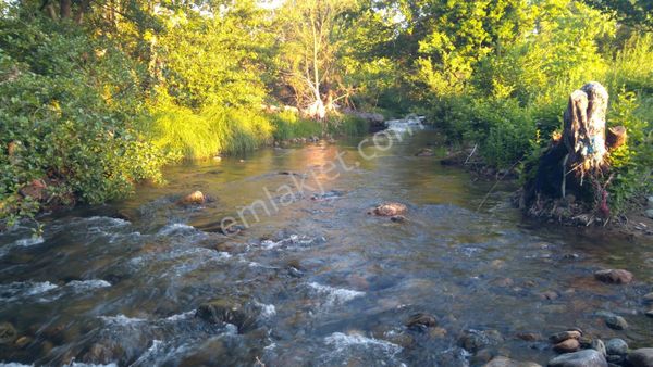 Bayramiç Evciler'de Satıık Elmalık