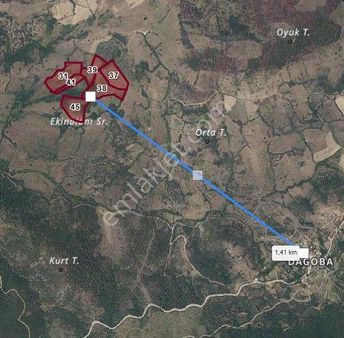 Bayramiç Dağoba'da Satılık 15000 M.kare Tarla