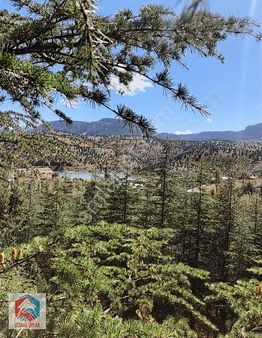 Bolkar Emlak'tan Arslanköy Göletine Hakim 8892m² Satılık Arazi