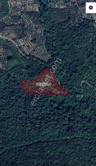 Orhangazi Karsak'ta Satılık Tarla