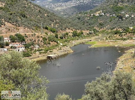 Muğla Milas Kayabükü Satılık Baraj Manzaralı 600m² Zeytinlik