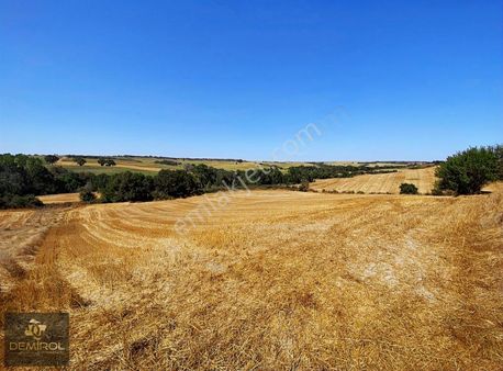 "demirol'dan" Kaşıkçı Köyünde Resmi Yola Cephe 9815 M2 Tarla