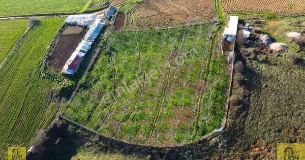 🟡⚫bandırma Erikli Mahallesi Tek Tapu,3.500 M² Satılık Arazi⚫🟡