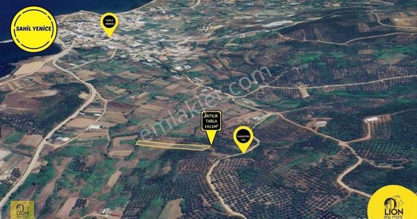 🟡⚫bandırma Sahil Yenice Mahallesinde 1411 M² Satılık Zeytinlik⚫🟡