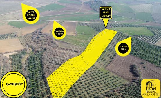 🟡⚫bursa Karacabey Çavuşköy Mahallesinde Ana Yola Yakın Satılık Tarla Lion Arsa Ofisi'nden⚫🟡