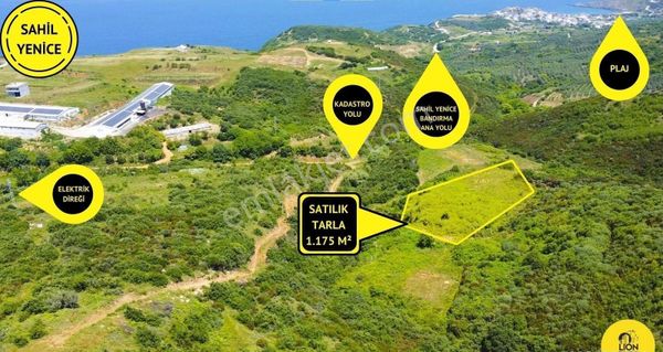 🟨⬛bandırma Sahil Yenice'de Plaj Ve Liman Yakınında Satılık 1.175m² Tarla⬛🟨