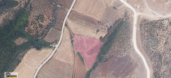 Bursa Karacabey Kıranlar'da Kadastro Yoluna Cephe 10 Buçuk Dönüm Tarla