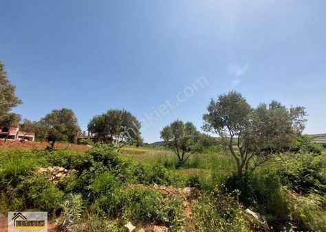 Bursa Karacabey Seyran Da Satılık Altyapısı Hazır 794 Metrekare Villa İmarlı Arsa