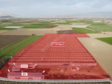 Antalya Elmalı Zümrütova Mah'de Elektriği, Sondajı Ve Yolu Bulunan 17.910m2 Satılık Kapalı Sera