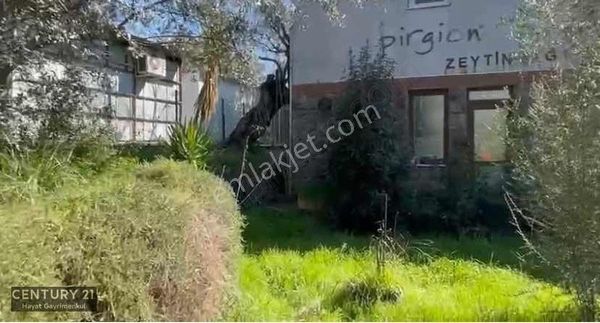 Ödemiş Birgi'de Anayol Üzeri Kıymetli Parsel