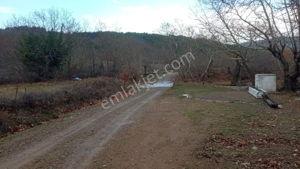 Bayramiç Külcüler'de Satılık Tarla