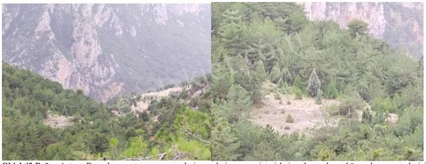 İnhisar Samrı Köyünde Satılık Tarla