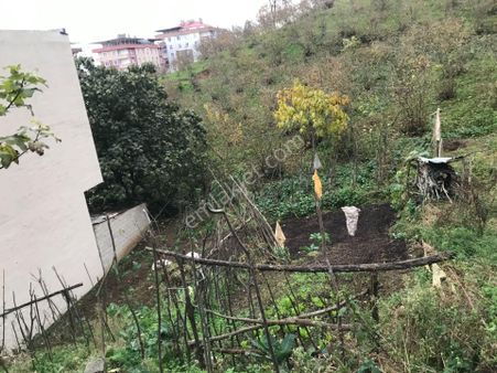 Trabzon Yomra Da Satılık Arsa