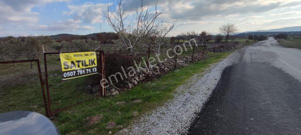 Manisa Yunusemre İlyasçılar Mahallesi 3.900 M2 Tek Tapu