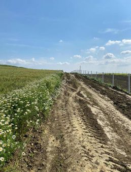 Gazitepe De Elektrik & Su & Yolu Olan 4.052m2 Tarla