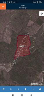 İzmir Seferihisar Ulamış Mahallesi 12.125, M2 Satılık Zeytinlik