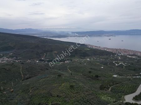 Kumla Konak Emlak;tan Haydariye Yolunda Satılık Arsa