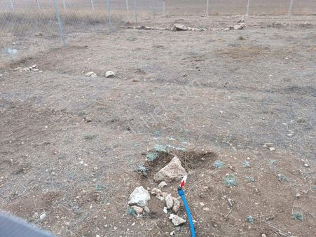 Akademi Emlak'tan Doğankaya'da 250 M2 Hobi Bahçesi