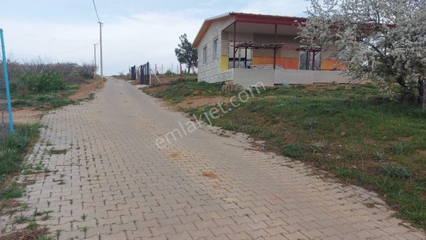 Sinan Emlak Ta Turgutlu Ayvacık Mah 1650 M2 Köy İci Bahce