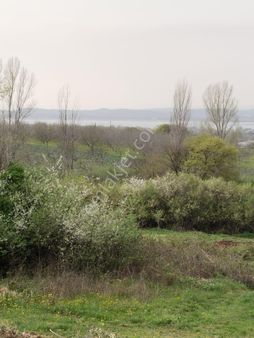 Pınar Emlak'tan Akçalar Tasmalar Mevkii Den Yatırımlık Ve Hobi Bahçelik Tarla