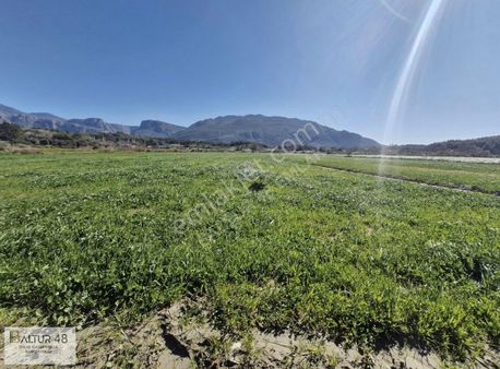 Seydikemer Korübükü'nde Müstakil Tapu Fırsat Arazisi