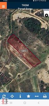 Şatırlıda Elk *su *yol *mevcut Masrafsız Tek Tapu Tarla