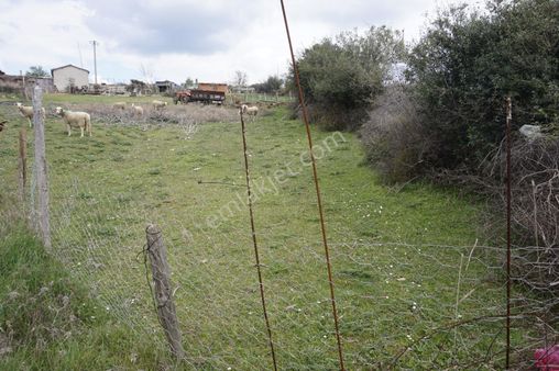 Çanakkale Bayramiç Tepecik Mah 258 M2 Arsa
