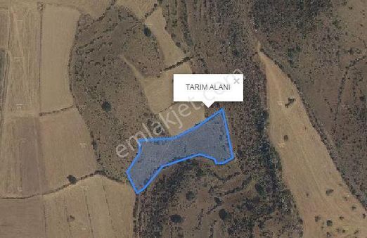 Hacılar Karpuzsekisi 8.150 M² Tek Tapu Tarla İmarı Tarım Alanı Besi Çifliği Yapılabilir