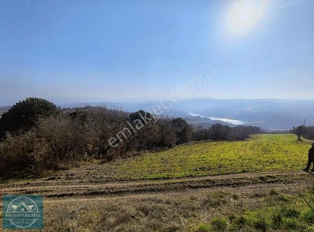 M.k.paşa Gayrimenkulden Lütfiye'de 7700m2 Yatırıma Uygun Tarla