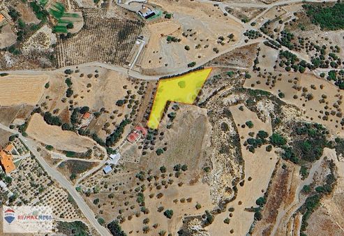 Datça Kızlan'da Denize Yakın, Yatırım Değeri Yüksek Zeytinlik